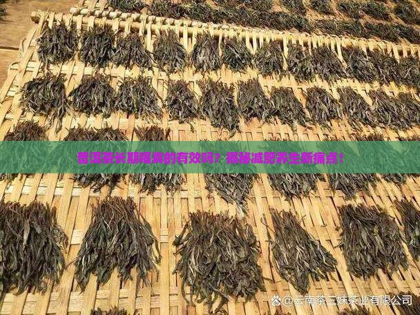 普洱茶长期喝功效