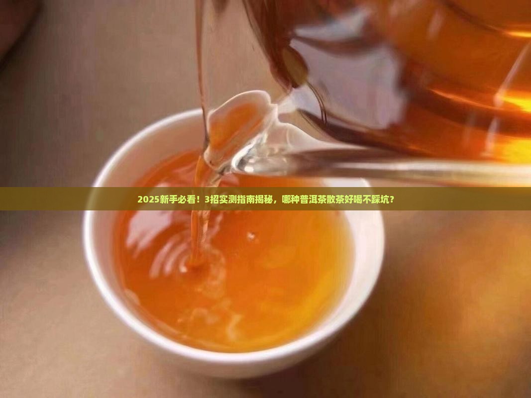 哪种普洱茶散茶好喝