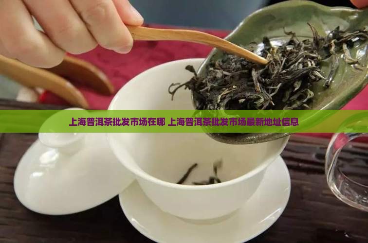 上海普洱茶批发市场在哪