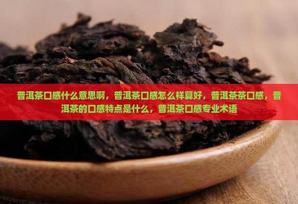 普洱茶口感什么意思啊