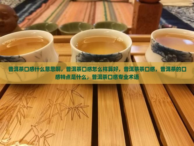 普洱茶口感什么意思啊