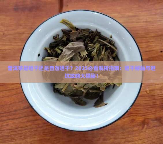 普洱茶是晒干还是自然晒干