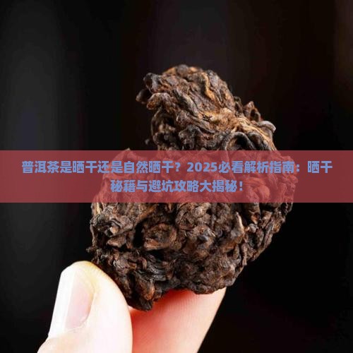 普洱茶是晒干还是自然晒干