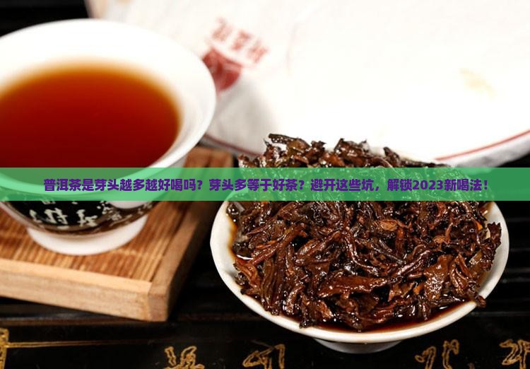 普洱茶是芽头越多越好喝吗