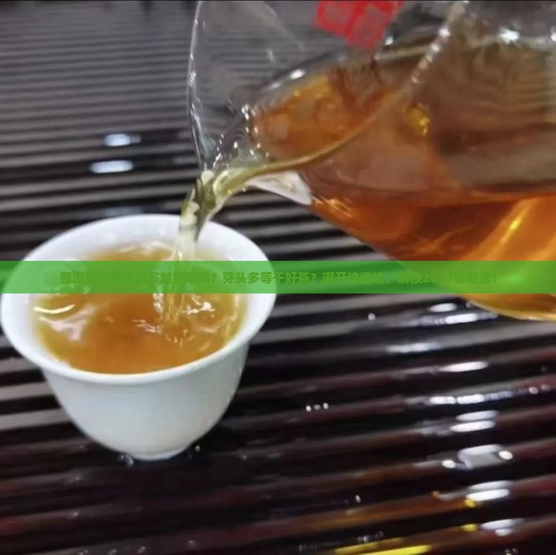 普洱茶是芽头越多越好喝吗
