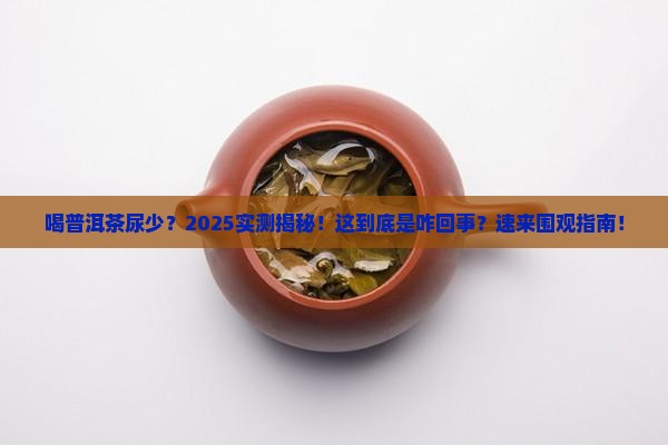 喝普洱茶尿少怎么回事