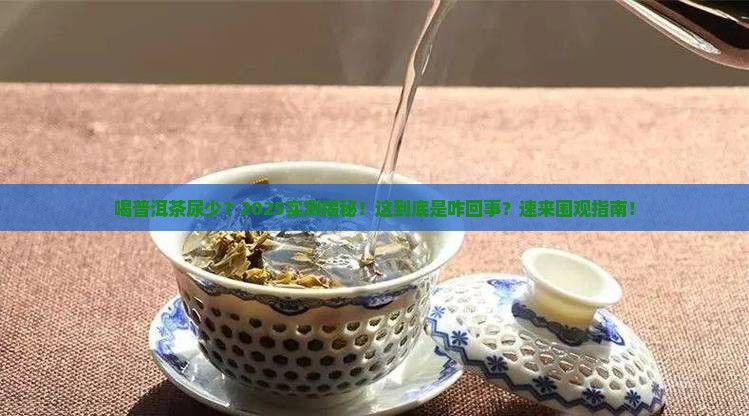 喝普洱茶尿少怎么回事