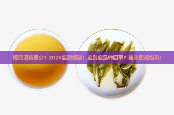 喝普洱茶尿少怎么回事