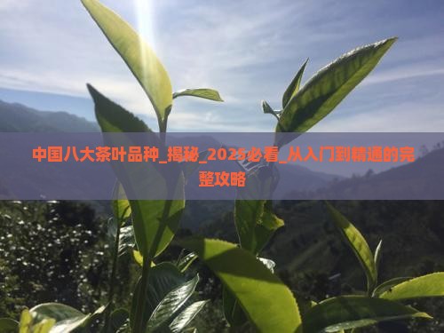 中国八大茶叶品种