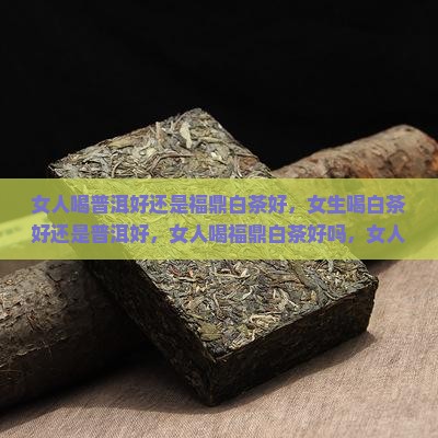 女人喝普洱好还是福鼎白茶好