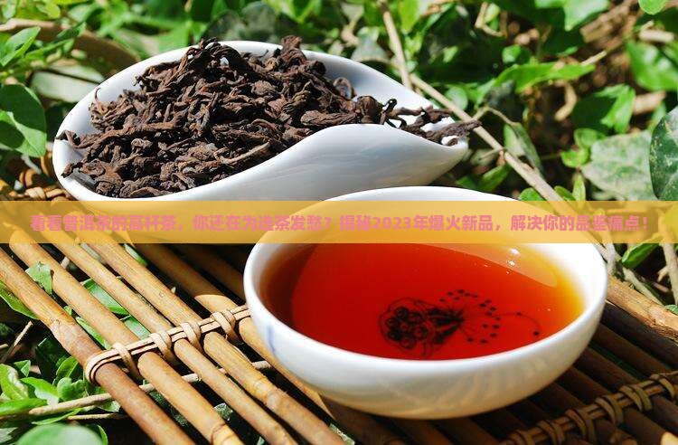 看看普洱茶的高杆茶