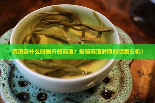 普洱茶什么时候开始闷泡