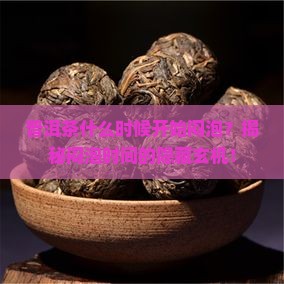 普洱茶什么时候开始闷泡