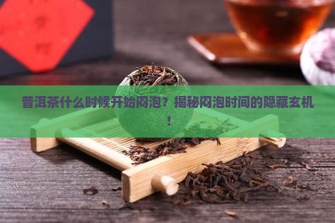 普洱茶什么时候开始闷泡