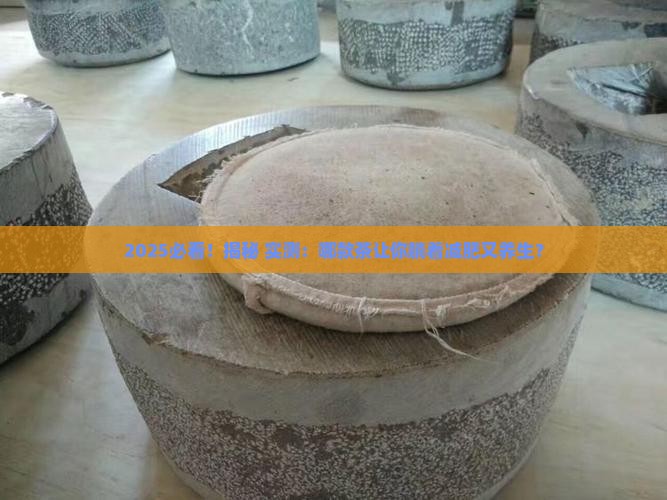 什么茶既减肥又养生