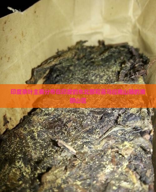 印度茶叶主要分布在