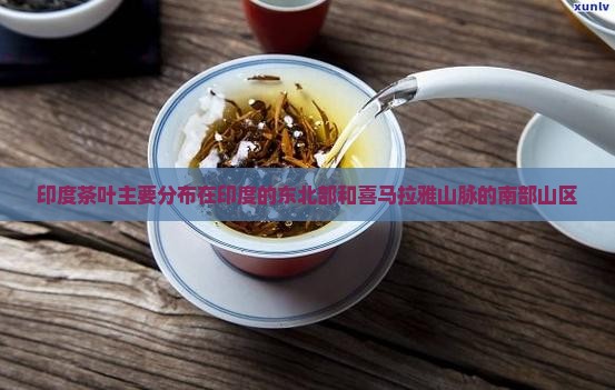印度茶叶主要分布在