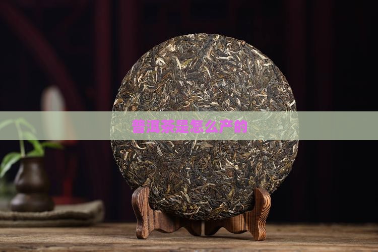 普洱茶是怎么产的