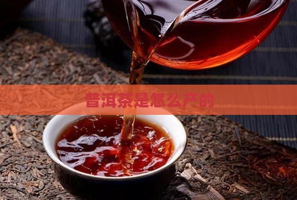 普洱茶是怎么产的