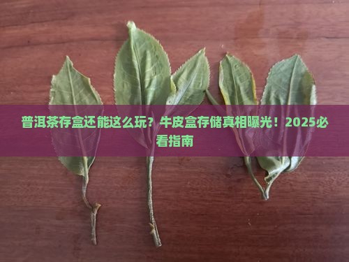 普洱茶存储牛皮盒