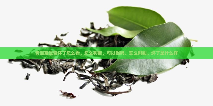 普洱茶是否坏了