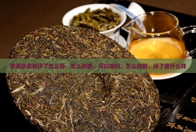 普洱茶是否坏了