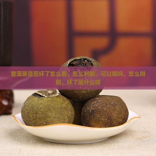 普洱茶是否坏了