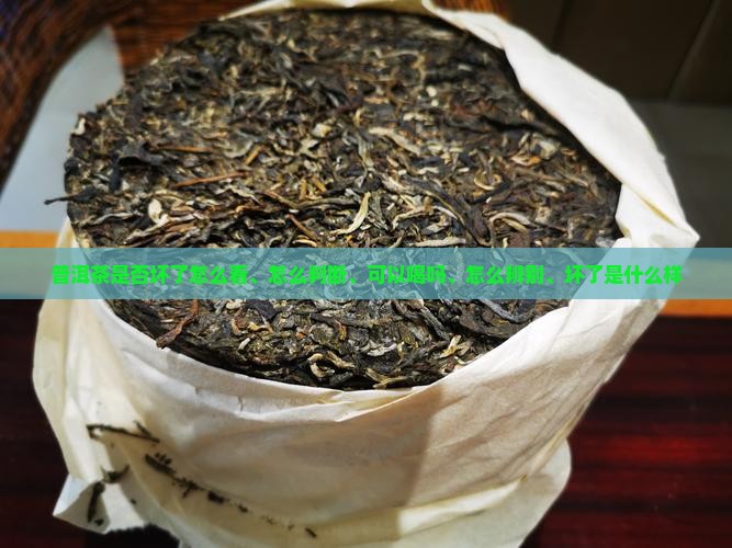 普洱茶是否坏了