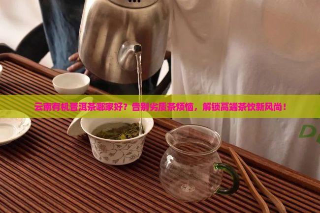 云南有机普洱茶哪家好