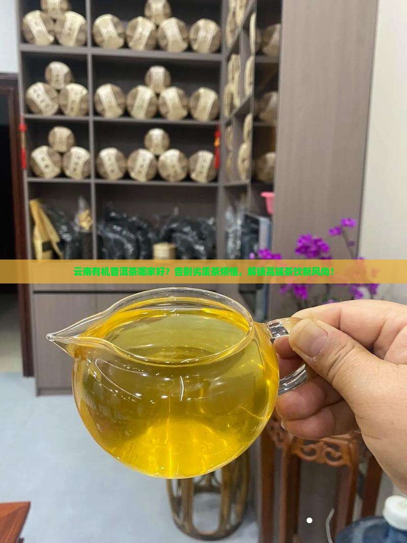 云南有机普洱茶哪家好