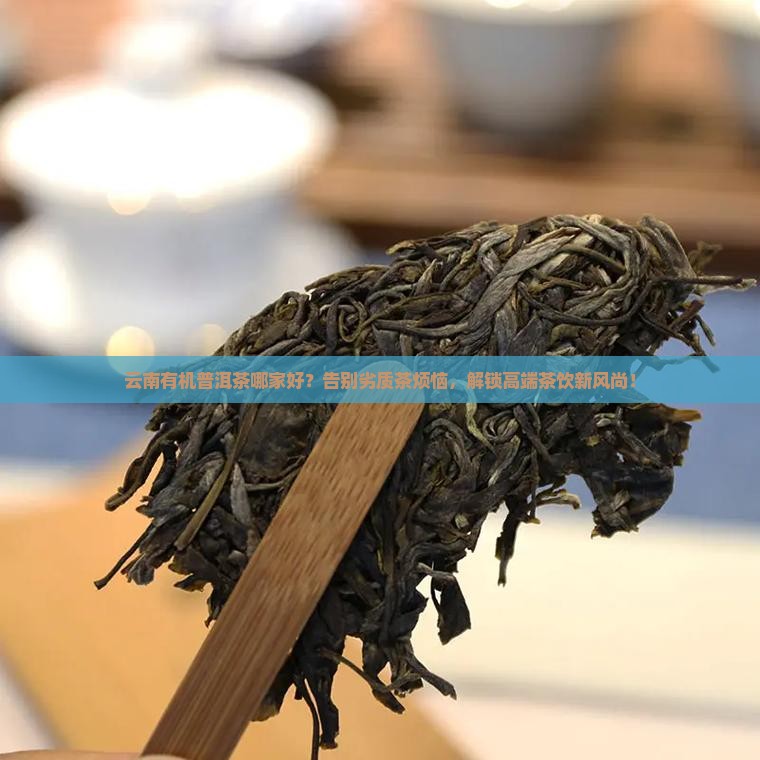 云南有机普洱茶哪家好
