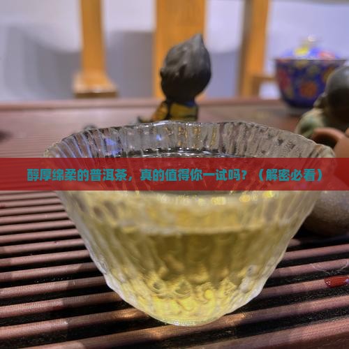 醇厚绵柔的普洱茶