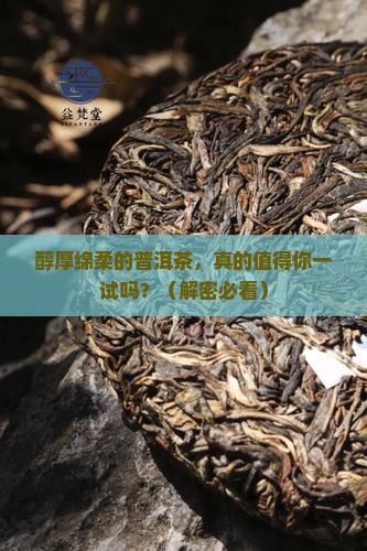 醇厚绵柔的普洱茶