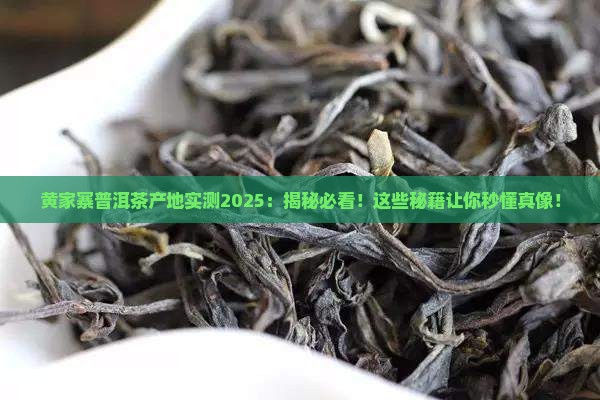 黄家寨普洱茶产地