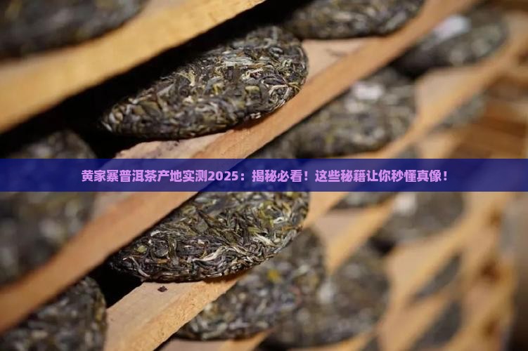 黄家寨普洱茶产地