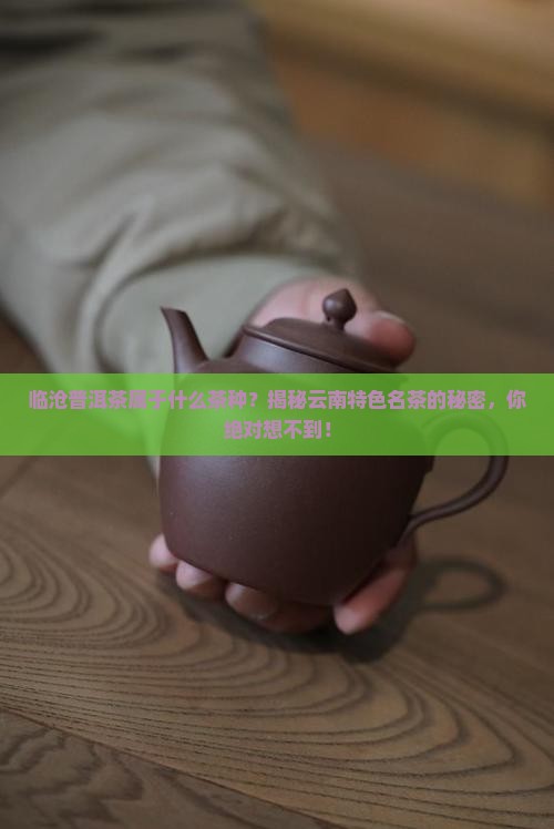 临沧普洱茶属于什么茶种
