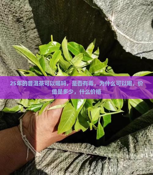 25年的普洱茶可以喝吗