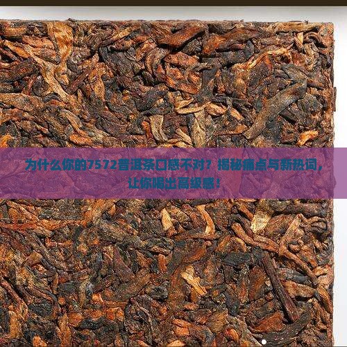 7572普洱茶口感特点