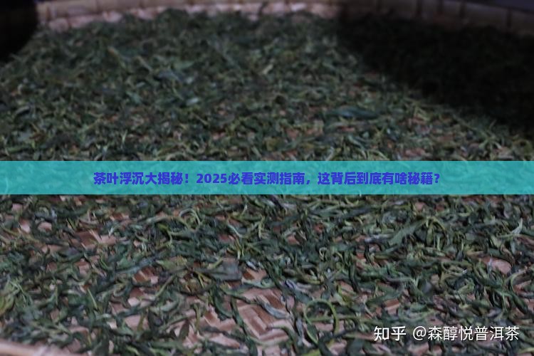 为什么有的茶叶浮起来有的沉下去
