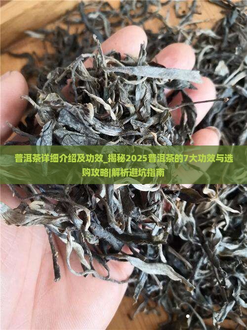 普洱茶详细介绍及功效