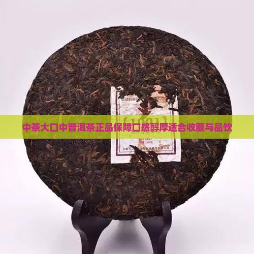 中茶大口中普洱茶