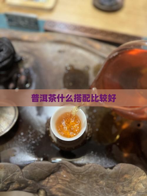 普洱茶泡什么比较好