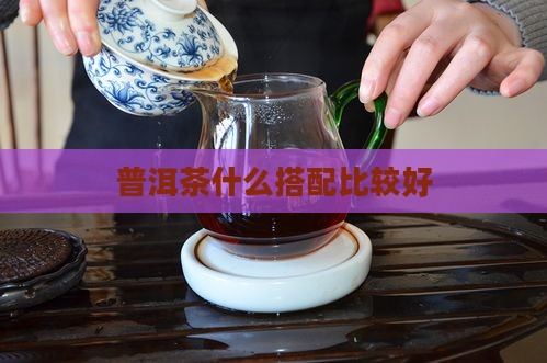 普洱茶泡什么比较好
