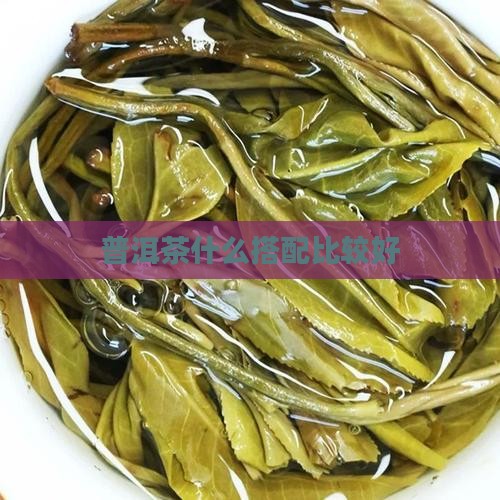 普洱茶泡什么比较好