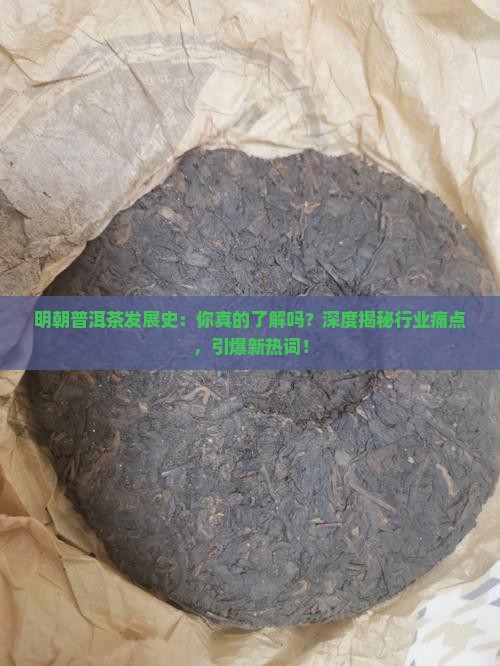 明朝普洱茶发展史