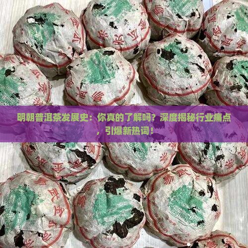 明朝普洱茶发展史