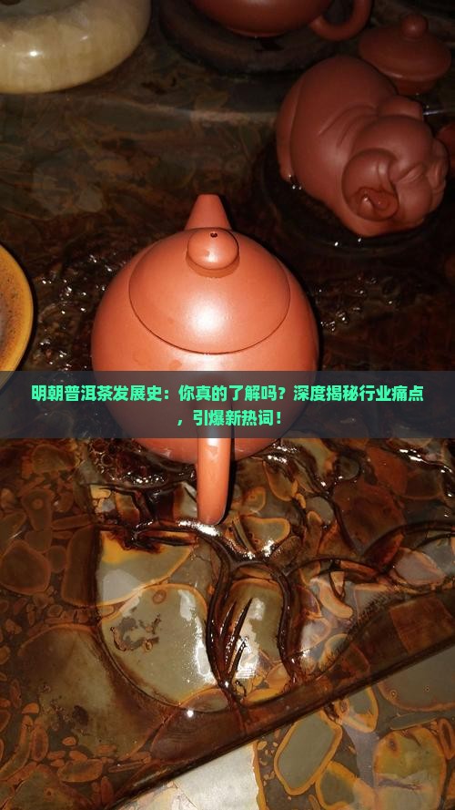 明朝普洱茶发展史