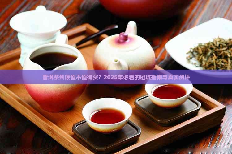 普洱茶对比分析