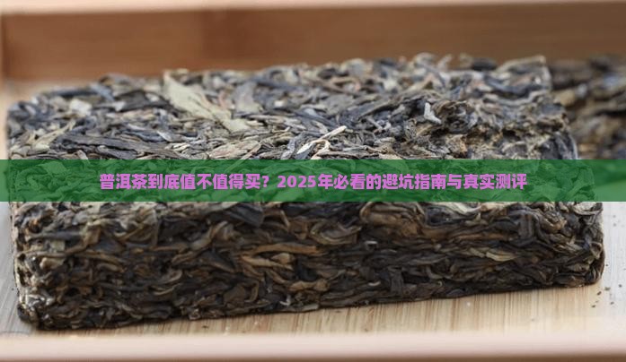 普洱茶对比分析
