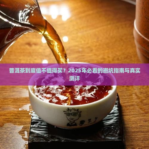 普洱茶对比分析